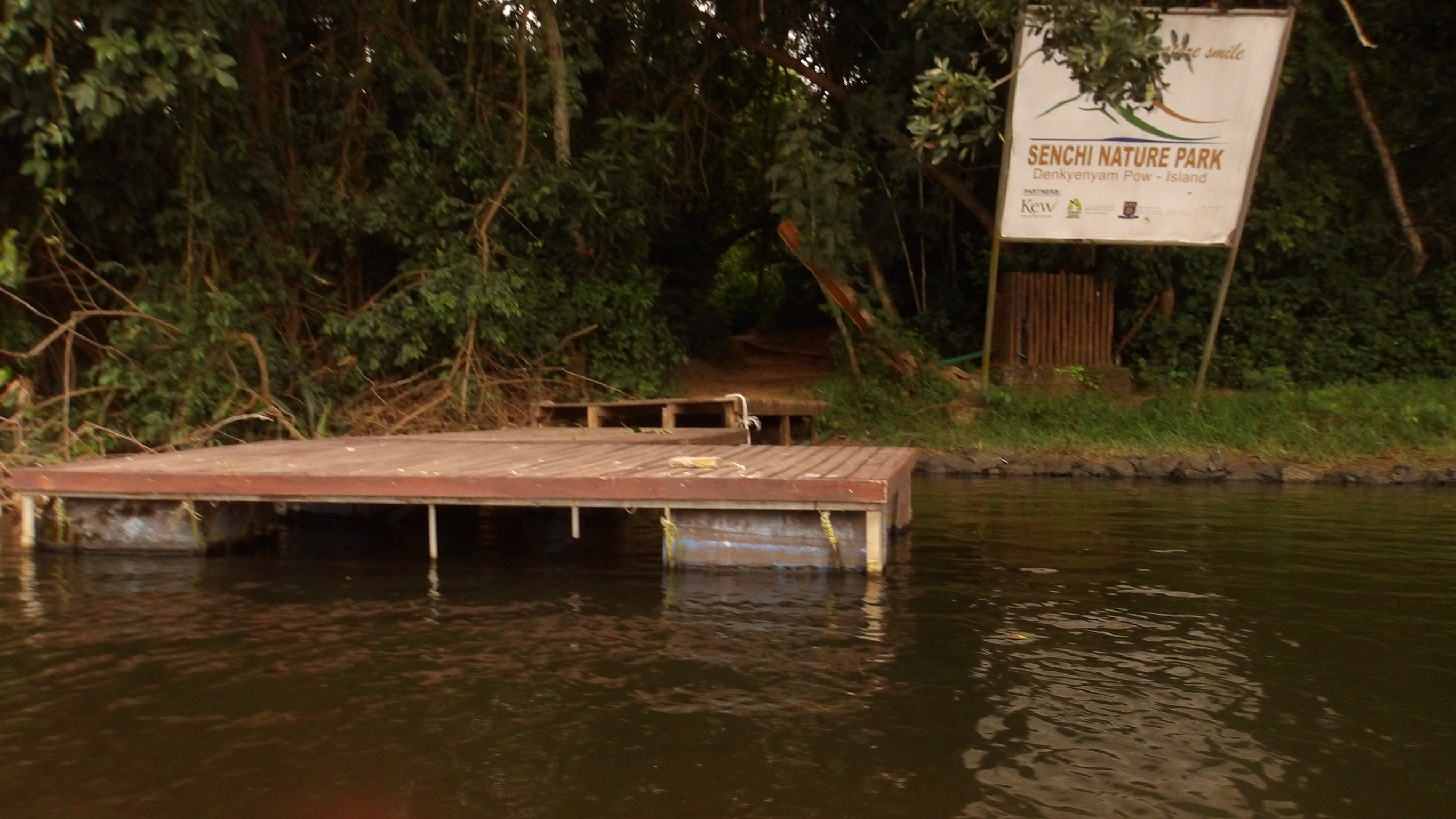 GHANA FALL 25 photo